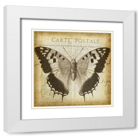 Carte Postale Butterfly II White Modern Wood Framed Art Print with Double Matting by Goldberger, Jennifer