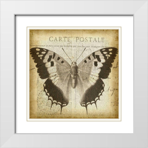Carte Postale Butterfly II White Modern Wood Framed Art Print with Double Matting by Goldberger, Jennifer
