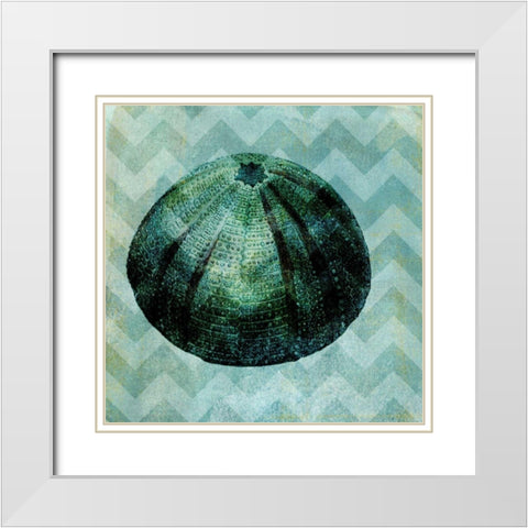 Chevron Shell IV White Modern Wood Framed Art Print with Double Matting by Vision Studio