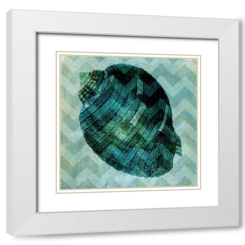 Chevron Shell VIII White Modern Wood Framed Art Print with Double Matting by Vision Studio