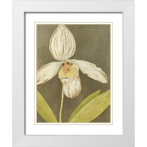 Orchid and Earth III White Modern Wood Framed Art Print with Double Matting by Meagher, Megan