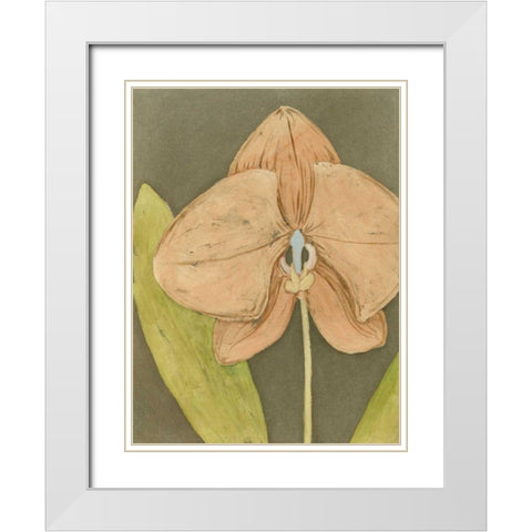 Orchid and Earth IV White Modern Wood Framed Art Print with Double Matting by Meagher, Megan