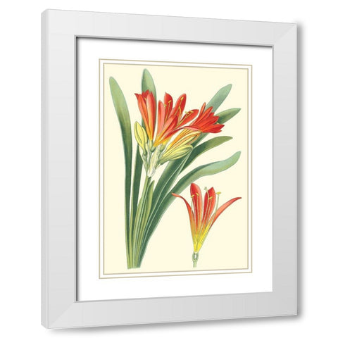 Striking Lilies III White Modern Wood Framed Art Print with Double Matting by Step, Edward