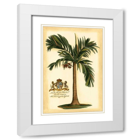 British Colonial Palm I White Modern Wood Framed Art Print with Double Matting by Vision Studio