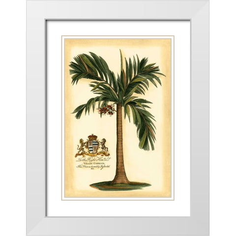 British Colonial Palm I White Modern Wood Framed Art Print with Double Matting by Vision Studio