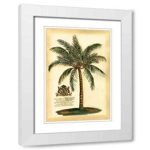 British Colonial Palm III White Modern Wood Framed Art Print with Double Matting by Vision Studio