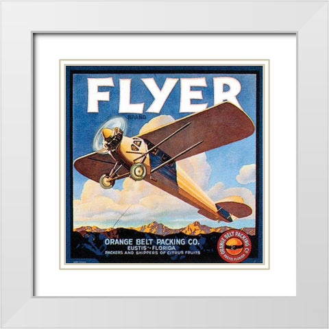 Flyer White Modern Wood Framed Art Print with Double Matting by Vision Studio