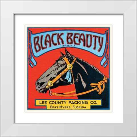 Black Beauty White Modern Wood Framed Art Print with Double Matting by Vision Studio