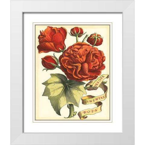 Ribbon Florals III White Modern Wood Framed Art Print with Double Matting by Vision Studio