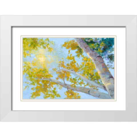 Aspen Canopy White Modern Wood Framed Art Print with Double Matting by Oleson, Nanette