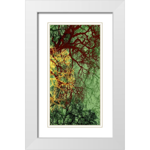 Entangle II White Modern Wood Framed Art Print with Double Matting by Burghardt, James
