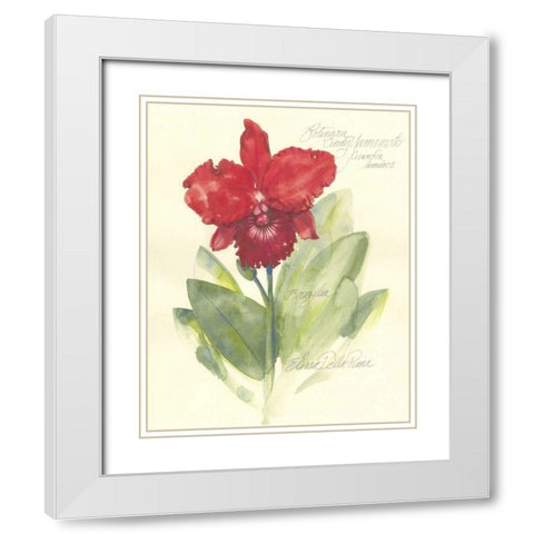 Elissas Garden I White Modern Wood Framed Art Print with Double Matting by Della-Piana, Elissa