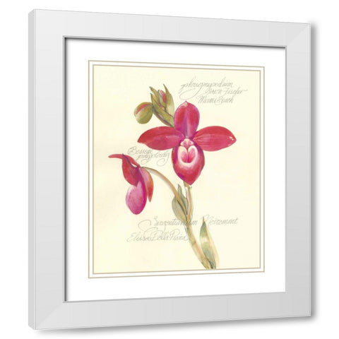 Elissas Garden II White Modern Wood Framed Art Print with Double Matting by Della-Piana, Elissa