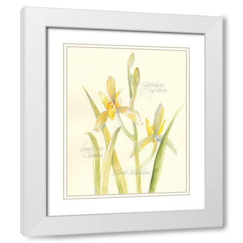 Elissas Garden IV White Modern Wood Framed Art Print with Double Matting by Della-Piana, Elissa