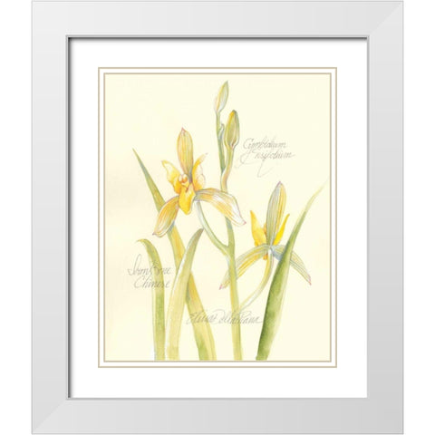 Elissas Garden IV White Modern Wood Framed Art Print with Double Matting by Della-Piana, Elissa