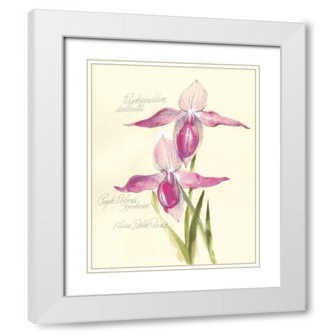 Elissas Garden VI White Modern Wood Framed Art Print with Double Matting by Della-Piana, Elissa