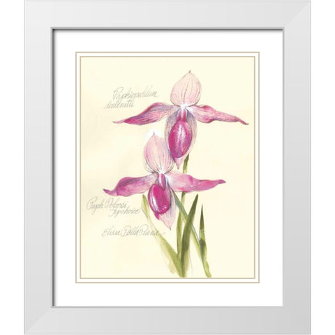 Elissas Garden VI White Modern Wood Framed Art Print with Double Matting by Della-Piana, Elissa