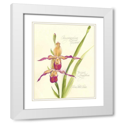 Elissas Garden VII White Modern Wood Framed Art Print with Double Matting by Della-Piana, Elissa