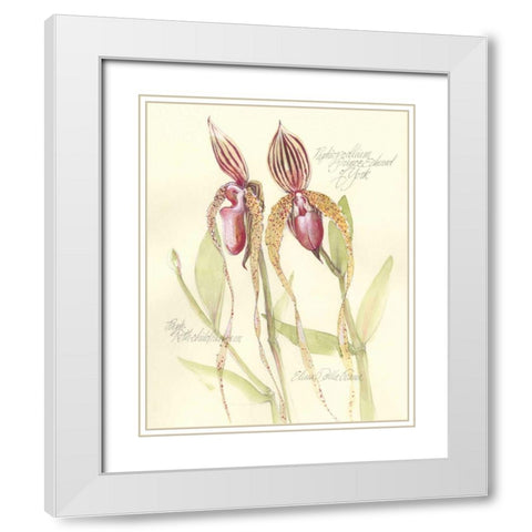 Elissas Garden VIII White Modern Wood Framed Art Print with Double Matting by Della-Piana, Elissa