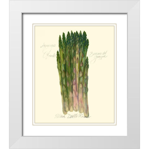 Asparagus Officinalis White Modern Wood Framed Art Print with Double Matting by Della-Piana, Elissa
