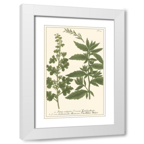 Weinmann Leaves III White Modern Wood Framed Art Print with Double Matting by Weinmann