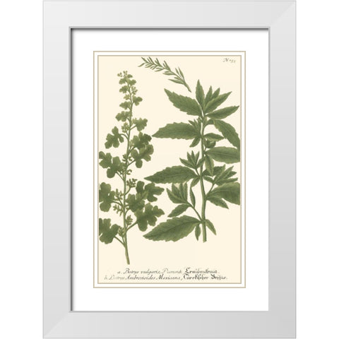 Weinmann Leaves III White Modern Wood Framed Art Print with Double Matting by Weinmann