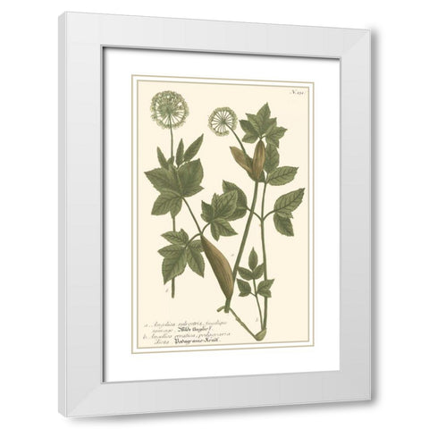 Weinmann Leaves IV White Modern Wood Framed Art Print with Double Matting by Weinmann