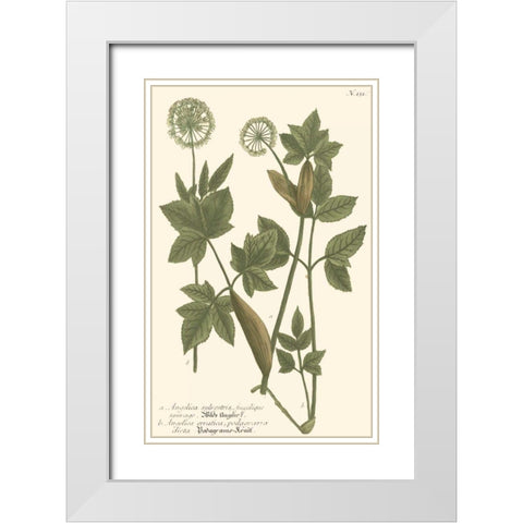 Weinmann Leaves IV White Modern Wood Framed Art Print with Double Matting by Weinmann