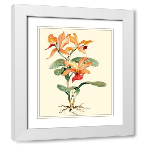 Orange Orchid White Modern Wood Framed Art Print with Double Matting by Waldman, Joy