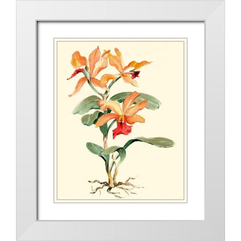 Orange Orchid White Modern Wood Framed Art Print with Double Matting by Waldman, Joy