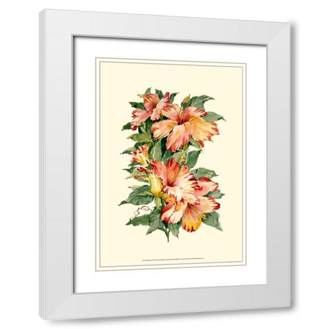 Hibiscus II White Modern Wood Framed Art Print with Double Matting by Waldman, Joy