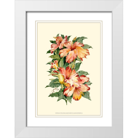 Hibiscus II White Modern Wood Framed Art Print with Double Matting by Waldman, Joy
