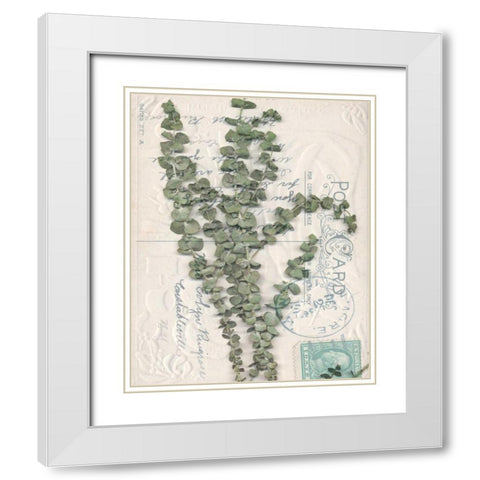 Small Postcard Wildflowers IV White Modern Wood Framed Art Print with Double Matting by Goldberger, Jennifer