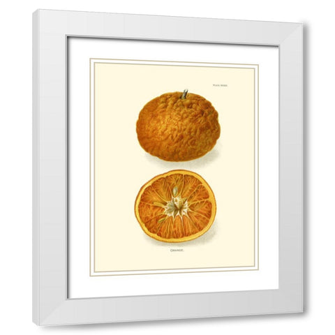 Orange White Modern Wood Framed Art Print with Double Matting by Unknown