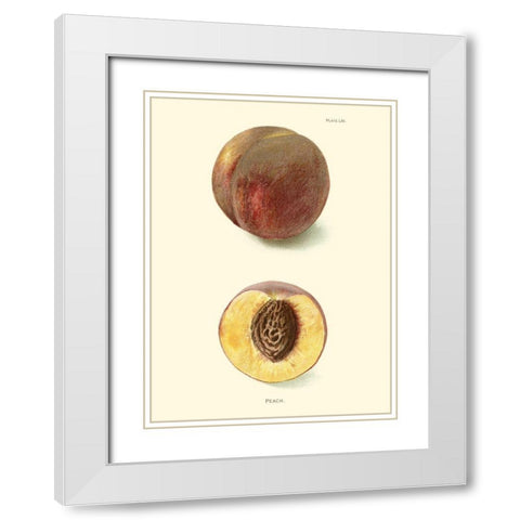 Peach White Modern Wood Framed Art Print with Double Matting by Unknown