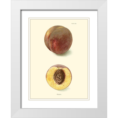 Peach White Modern Wood Framed Art Print with Double Matting by Unknown