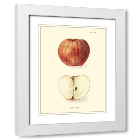 Apple II White Modern Wood Framed Art Print with Double Matting by Unknown