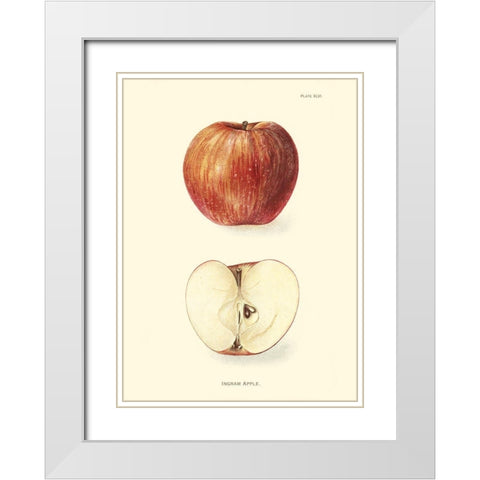 Apple II White Modern Wood Framed Art Print with Double Matting by Unknown