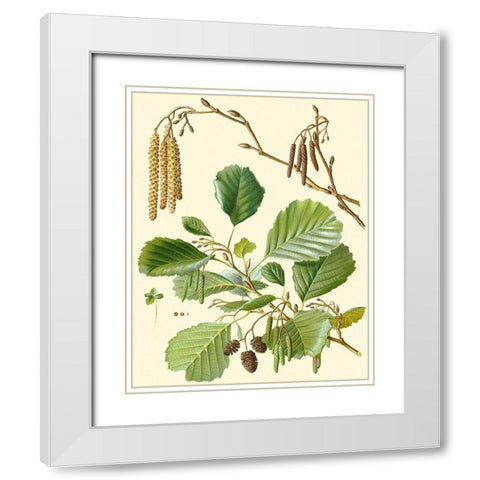 Pinecones and Foliage II White Modern Wood Framed Art Print with Double Matting by Vision Studio