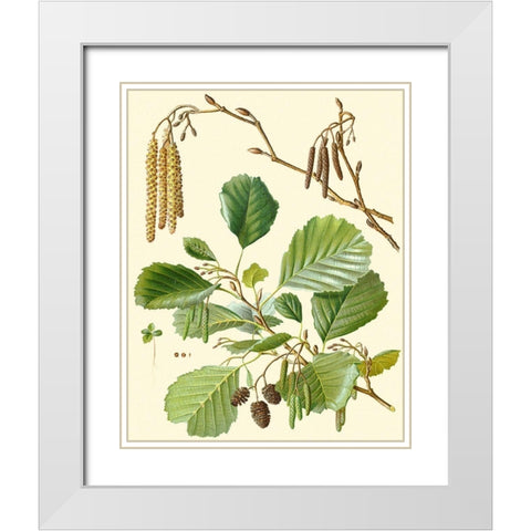 Pinecones and Foliage II White Modern Wood Framed Art Print with Double Matting by Vision Studio
