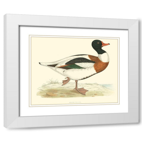 Shieldrake White Modern Wood Framed Art Print with Double Matting by Vision Studio