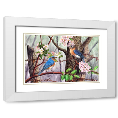 Bluebirds White Modern Wood Framed Art Print with Double Matting by Dornish, Al
