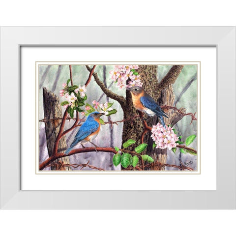 Bluebirds White Modern Wood Framed Art Print with Double Matting by Dornish, Al