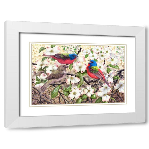 Painted Bunting White Modern Wood Framed Art Print with Double Matting by Dornish, Al