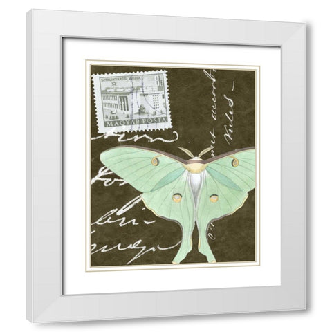 Le Papillon Script I White Modern Wood Framed Art Print with Double Matting by Vision Studio