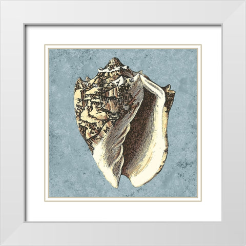 Stonewashed Shells I White Modern Wood Framed Art Print with Double Matting by Vision Studio