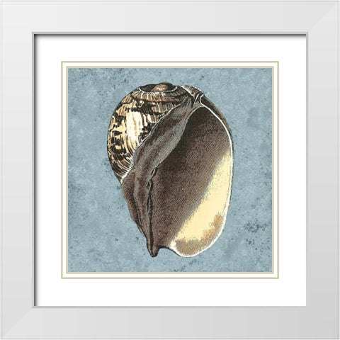 Stonewashed Shells II White Modern Wood Framed Art Print with Double Matting by Vision Studio