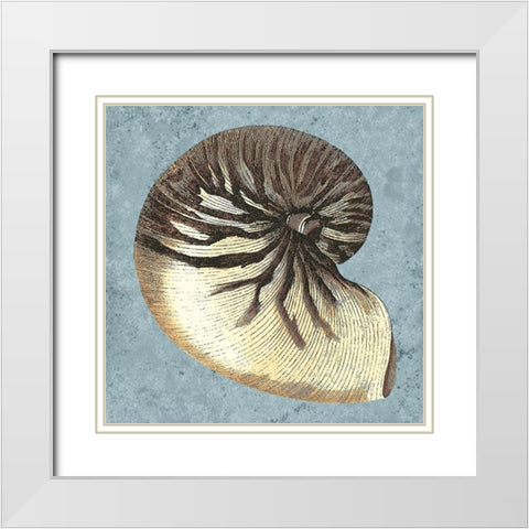 Stonewashed Shells III White Modern Wood Framed Art Print with Double Matting by Vision Studio