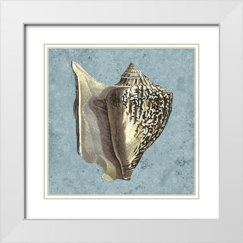 Stonewashed Shells VI White Modern Wood Framed Art Print with Double Matting by Vision Studio