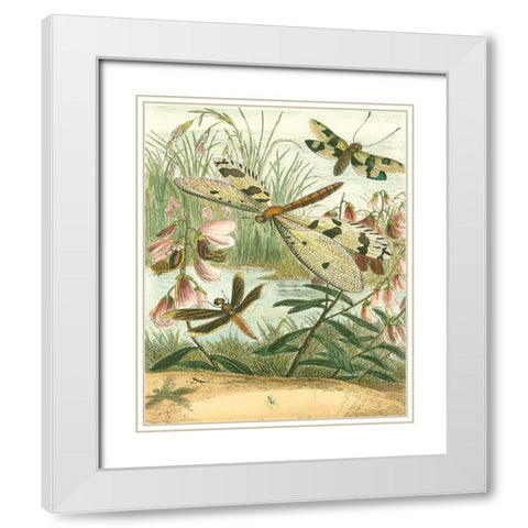 Dragonfly Gathering I White Modern Wood Framed Art Print with Double Matting by Vision Studio